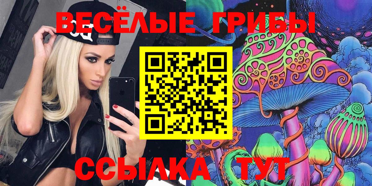 Псилоцибиновые грибы мицелий Еманжелинск
